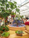 RHS Chelsea Flower Show 2017. The world`s most prestigious flower show displaying the best in garden design. Royalty Free Stock Photo